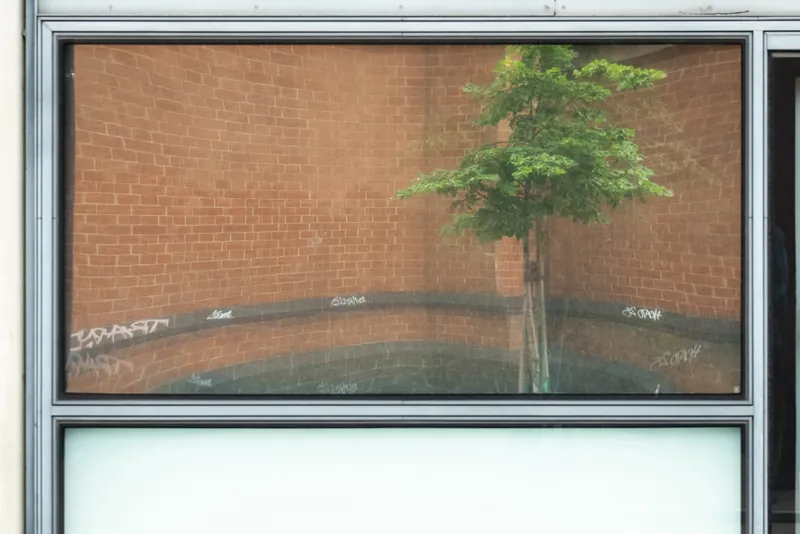 Office window I, St. Pancras. 2024.